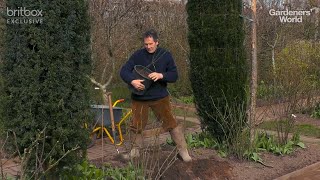 Tips for Planting a Bareroot Rose with Monty Don