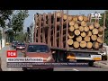 Новини України: в Рівненській області у лісовоза вискочила деталь від колеса і влучила в пішохода