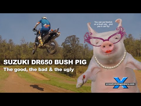 فيديو: ماذا يسمى bushpig؟