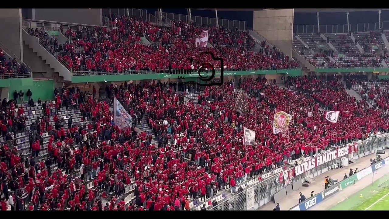 La liberta per gli ultras🕊️