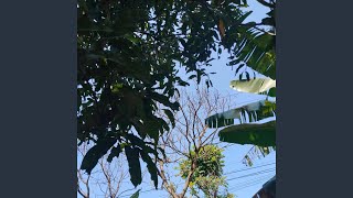 Download Lagu Wanita racun nya dunia. MP3