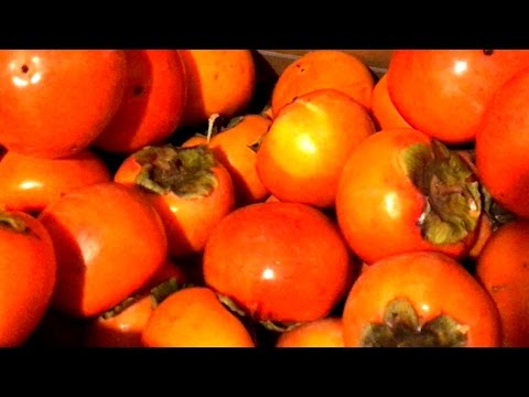 【生活の知恵・裏技】超おいしい柿ジュースの作り方　柿がたくさんある人必見！　スムージー　ではありません。