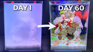 Building a Slice of the Ocean, Nano Reef Tank Build