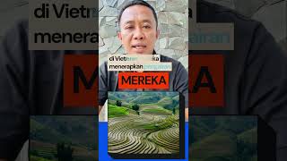 Rahasia Petani Padi Thailandvirtnamjepang Panen Padi 10 Ton Per Hektare pertanian padi