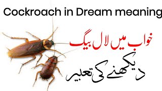khwab ki Tabeer khwab Mein cockroach ya Lalbeg dekhna ki tabeer in Urdu