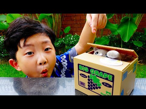 예준이의 서프라이즈 고양이 저금통 아이스크림 숨바꼭질 놀이 청소기 장난감 Funny Cat Coin Bank with Hide and Seek Kids VIdeo