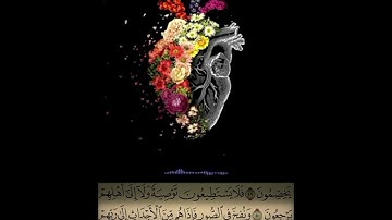 سورة يس| surah yassin  تلاوة هادئة مع صوت المطر