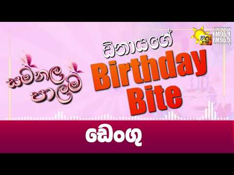 ඩෙංගු | සමනල පාලම 🌸🌳 Birthday Bite