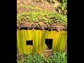 Beautiful Smallest Shelter Build Planting Grass On The Roof