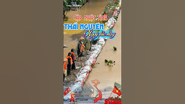 Cập nhật tình hình Thái Nguyên ngay lúc này #vietnam #tintuc #thainguyen #thuydien #trending