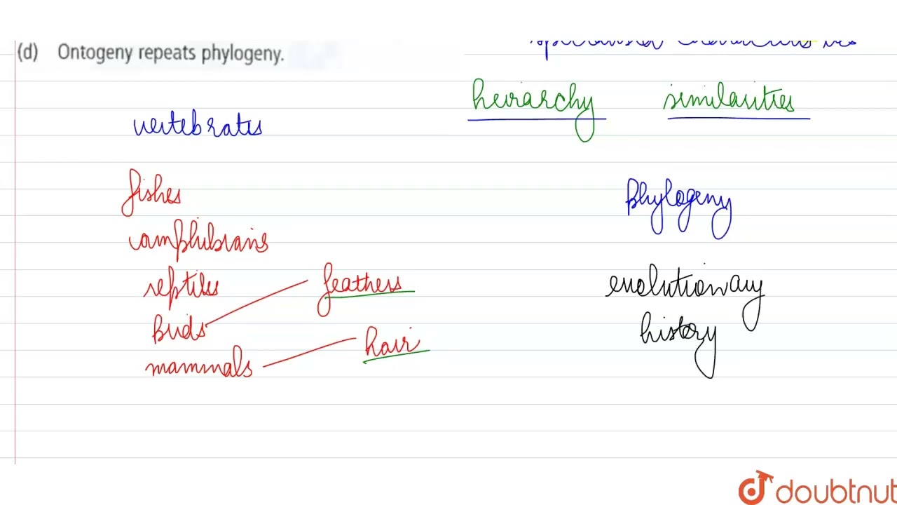 Which of the following statements is related to Karl Ernst von Baer? | 12 | EVOLUTION | BIOLOGY ...