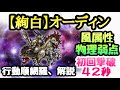 【FFRK】絢白 オーディン 初回撃破 42秒 風属性、物理弱点 行動順網羅、解説 FFレコードキーパー