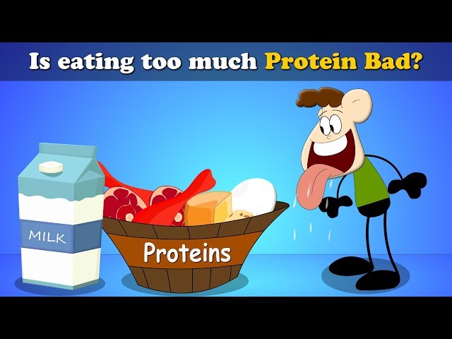 Is eating too much Protein Bad? + more videos | #aumsum #kids #science #education #children class=