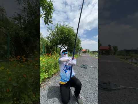 CHẤN PHONG THỬ THÁCH CÁ HỒ BULL ARENA | VIETNAM FISHING TV