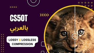 [3][7] CS50T - Multimedia - Image Compression - lossy compression and lossless compression-ضغط الصور