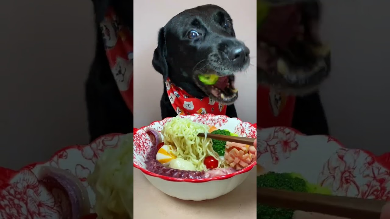 Today I have some leftover mutton soup versions of my mom’s Latang TikTok Selection. Cute pet debu