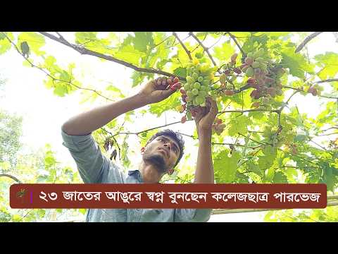 Subornovumi