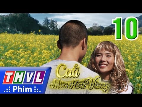 Video THVL | Cali mùa hoa vàng - Tập 10 - youtube