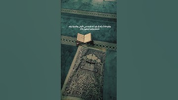 وربُّكَ يَعلمُ ما تُكن صدُورهُم ومَا يعلِنونَ (69) آيات تريح القلب والنفس❤️ #القصص #قرآن #الحصري