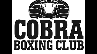 Barry Trainor II vs Danzo McStay - Cobra Boxing Fists of Fury