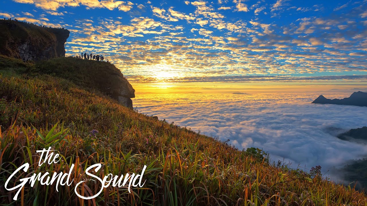 kanata.t - Light Garden