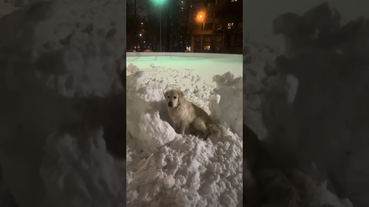 Финн и снежная  крепость часть 1