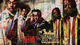 Download Lagu Trends Of Culture - The Trend Files (1992-1998) (Full Album) MP3