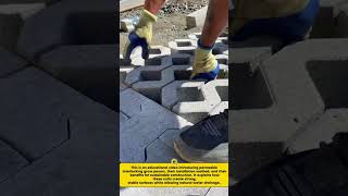 Interlocking Permeable Grass Pavers | Eco-Friendly Paving Solution‎