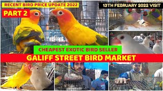 BIRD RECENT PRICE AT GALIFF STREET PET MARKET KOLKATA | CHEAPEST BIRD SELLER | 13TH FEB 2022 VISIT
