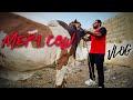 Maine Cow Leli | VLOG | Qurbani 2021