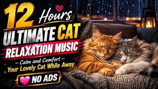 12 Hours Ultimate Cat Relaxation Music - Relax Your Kitten Instantly for Better Sleep | No Ads 🌙