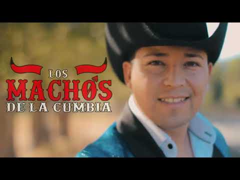 Putar A Ella - Los Machos de la Cumbia