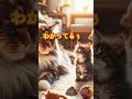 🐱パパを困らせないで。