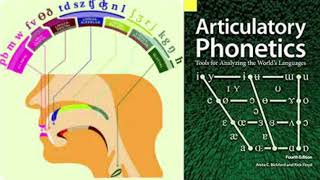PHONOLOGICAL AND PHONETIC STRUCTURE