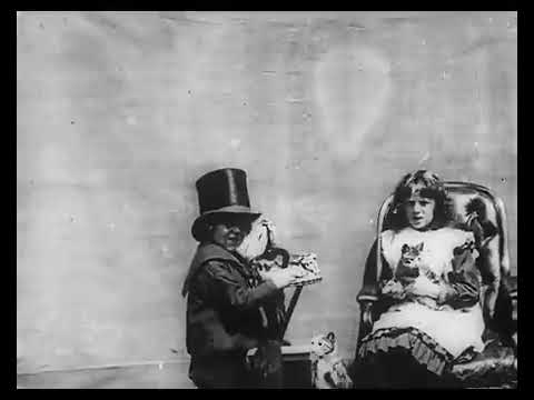 1900's to 1920's Retro movies Part 10 The Sick Kitten 1901 #zigmannmedia