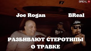 Стереотипы о марихуане | Joe Rogan на SmokeBox у B-Real | на русском |