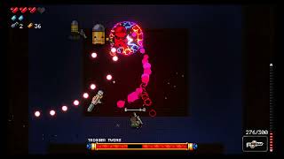 Enter the gungeon ( rare double kill chance in boss fight )