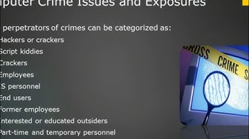 5. Computer Crimes