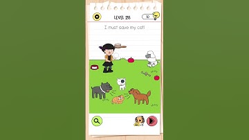 brain test 4 level 255