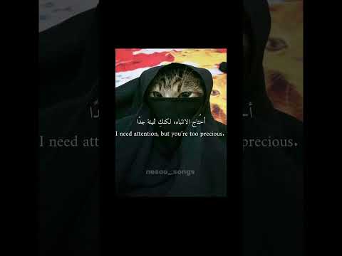 اغنية خطفوني مترجمه بدون موسيقى  بدون موسيقى  ترجمة أغاني    