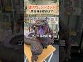 【超限定】リアル過ぎるゴジラが売れ残る理由は？ #お宝創庫 #豆知識