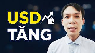 Tỷ giá USD/VND biến động: Tác động trực tiếp đến túi tiền của bạn12 tháng 9, 2026