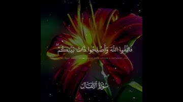 اجمل تلاوة بصوت المنشاوي من سورة الانفال 😍