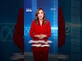 شجرة الشعلة.. حين يتحول صيف دبي إلى لوحة من الألوان