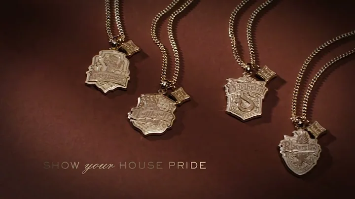 Introducing Harry Potter™ x Fossil - 天天要聞