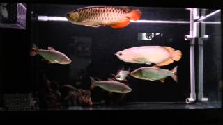 20120919_074536.mp4