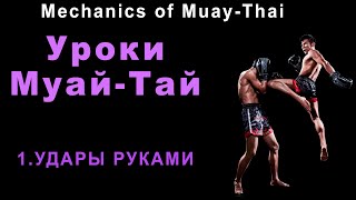 Механика Муай-Тай 1. Удары руками