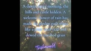 Good morning from Trishaworld 951!