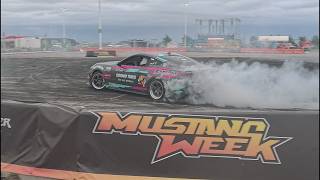 Wild Action at Mustang Week TEXAS 2026!
