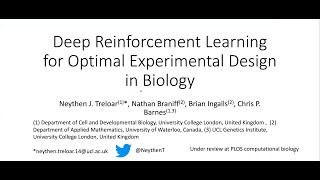 Deep Reinforcement Learning for Optimal Experimental Design in Biology